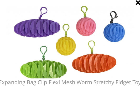 Worm fidget keychain